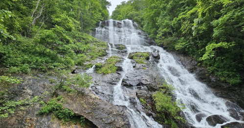 A cascading waterfall flows down a rocky cliff, surrounded by lush green trees and foliage.