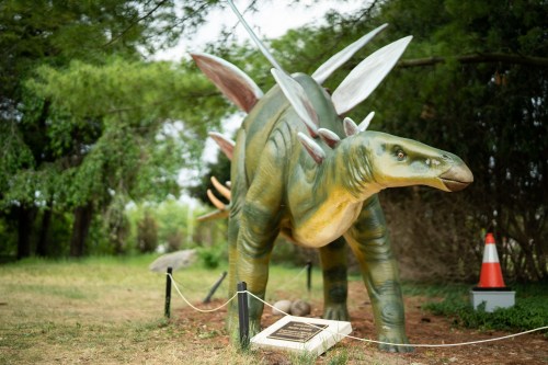 A life-sized dinosaur sculpture with wings, set in a grassy area surrounded by trees and a traffic cone.
