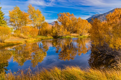A serene autumn landscape featuring a calm pond reflecting colorful trees and a blue sky.