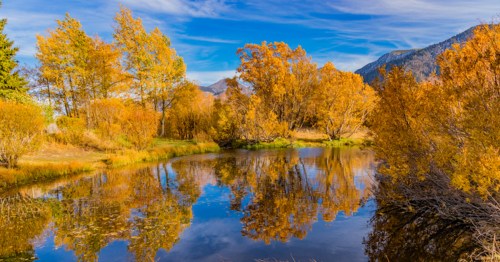 A serene autumn landscape with vibrant orange trees reflecting in a calm pond under a blue sky.