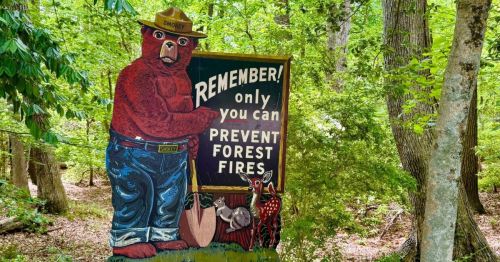 Smokey The Bear sign in the forest at Martinak State Park in Maryland.