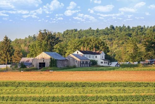 A scenic farm with a barn and farmhouse, surrounded by green fields and trees under a blue sky with clouds.