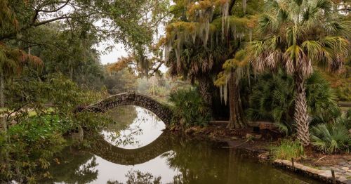 A walking path surrounded by trees at City Park in New Orleans, Louisiana
