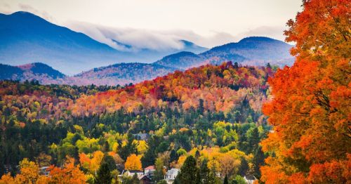 Fall trees and mountains in the Adirondacks Mountains in Upstate New York