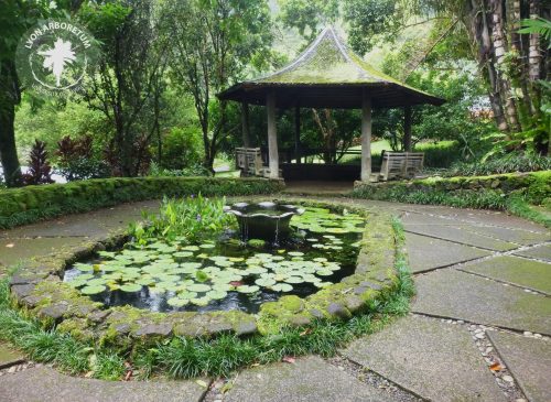 A serene garden with a pond filled with lily pads, surrounded by lush greenery and a gazebo in the background.