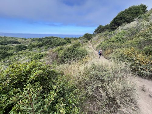 A person walking along a narrow trail surrounded by lush greenery and coastal views under a blue sky.