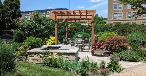A lush garden with a wooden pergola, seating area, and various colorful plants under a blue sky.