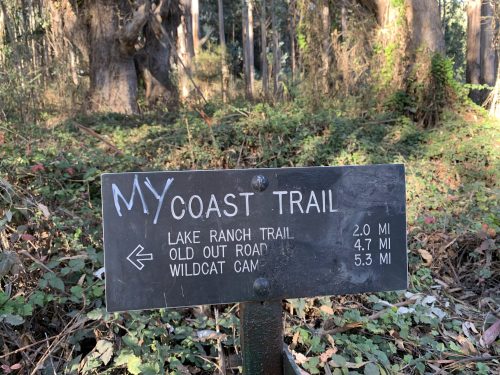 Signpost indicating trail directions and distances: My Coast Trail, Lake Ranch Trail, Old Out Road, Wildcat Camp.