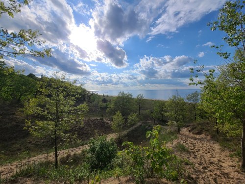 A scenic view of a sandy path leading to a calm lake, surrounded by green trees and a bright, cloudy sky.