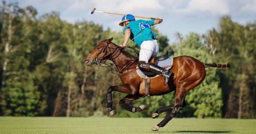 Close up of polo player riding their horse in the middle of a match