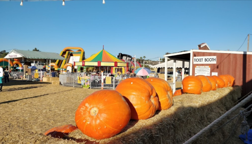 A vibrant fall festival scene with large pumpkins, a ticket booth, and colorful attractions in the background.