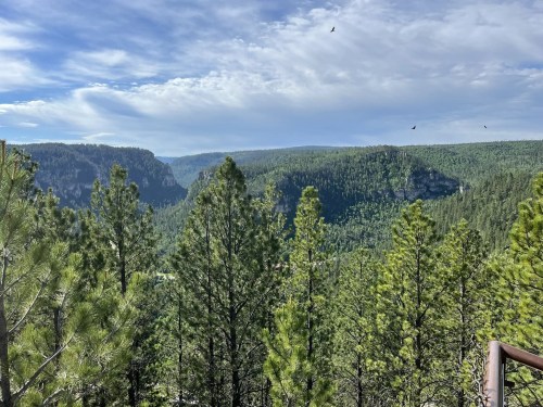Lush green mountains and trees under a partly cloudy sky, with birds soaring above the landscape.