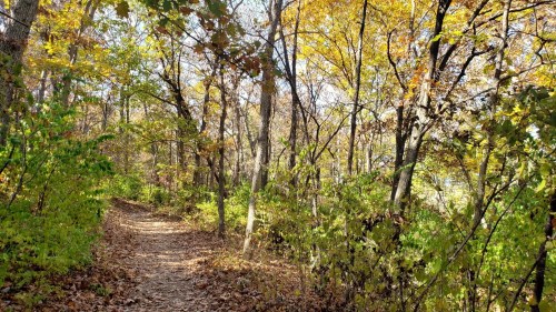 Top Fall Activities in Kansas: Foliage, Pumpkin Patches & Festivals