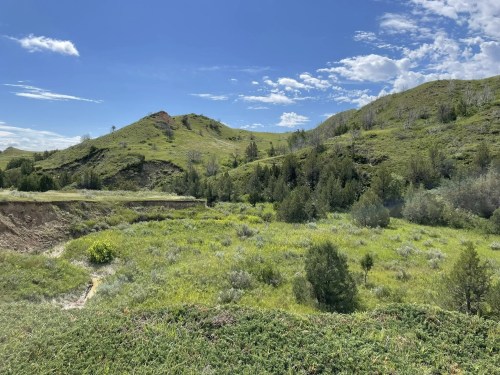 Lush green hills under a blue sky with scattered clouds, featuring shrubs and trees in a serene landscape.