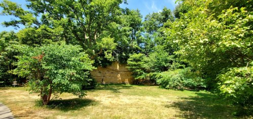 Lush green trees and shrubs surround a grassy area under a clear blue sky.