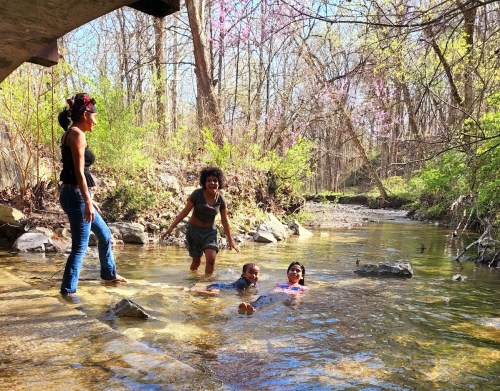 A group of four people enjoying a sunny day by a creek, with trees and flowers in the background.