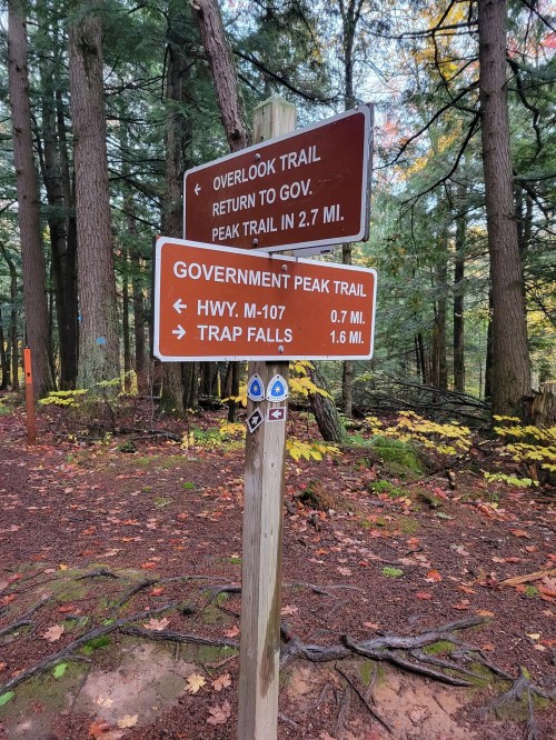 Trail signs in a forest, indicating directions to Overlook Trail, Government Peak Trail, and nearby attractions.