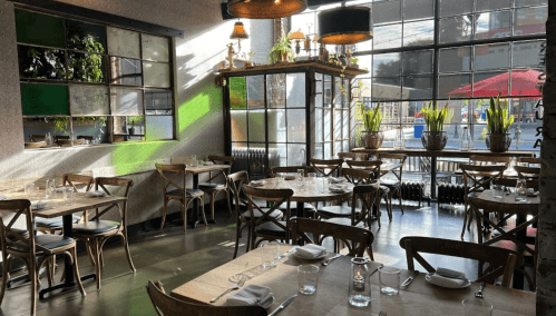 Bright restaurant interior with wooden tables, plants, and large windows letting in sunlight. Cozy and inviting atmosphere.