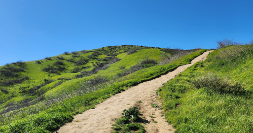 A sandy path winds up a lush green hillside under a clear blue sky.