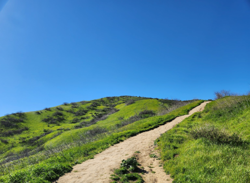 A sandy path winds up a lush green hill under a clear blue sky.