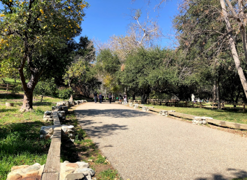 A scenic park path lined with trees, leading to people walking in the distance under a clear blue sky.