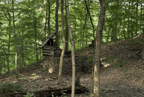 A rustic wooden structure sits among trees in a lush green forest, surrounded by fallen leaves and natural scenery.