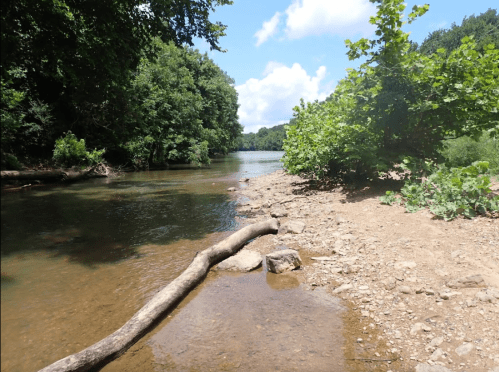 A serene riverbank scene with clear water, sandy shore, and lush green trees under a bright blue sky.