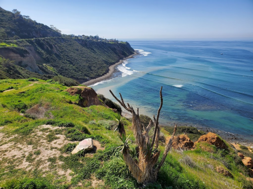 A scenic coastal view with green cliffs, gentle waves, and a clear blue sky.