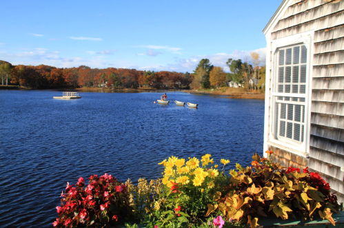 A serene lake scene with colorful flowers in the foreground and boats on the water, surrounded by autumn foliage.