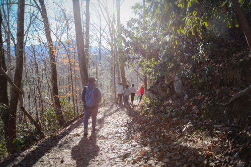 A group of hikers walking along a sunlit forest trail surrounded by trees and fallen leaves.