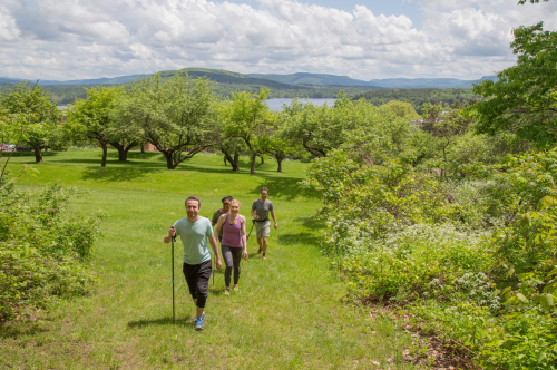 Four people hike on a grassy path surrounded by trees, with a scenic view of hills and a lake in the background.