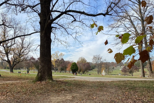 A serene landscape of a cemetery with trees, fallen leaves, and a cloudy sky in the background.