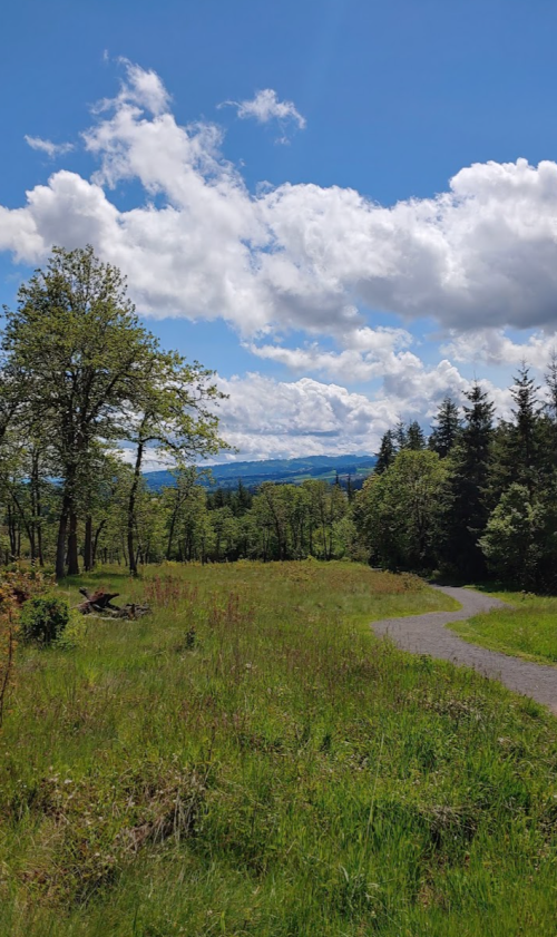 A scenic view of a grassy path leading through trees, with mountains and clouds in the background under a blue sky.