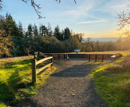 A scenic overlook with benches, surrounded by trees and grass, under a sunset sky.