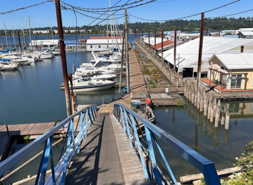 A wooden walkway leads down to a marina filled with boats, surrounded by buildings and power lines.