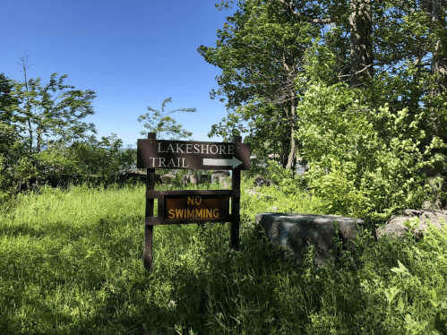 A wooden sign for "Lakeshore Trail" with a "No Swimming" warning, surrounded by lush green grass and trees.