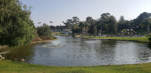 A serene park scene featuring a pond with a fountain, surrounded by trees and playground equipment in the background.