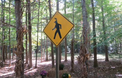 A yellow warning sign featuring a deer walking on two legs, set in a wooded area with trees and fallen leaves.