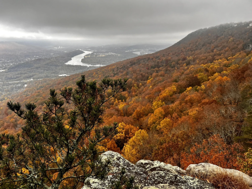 A scenic view of a river winding through a valley, surrounded by vibrant autumn foliage under a cloudy sky.