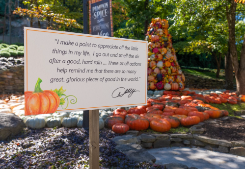 A sign with a quote about appreciating life's little things, surrounded by colorful pumpkins and autumn scenery.