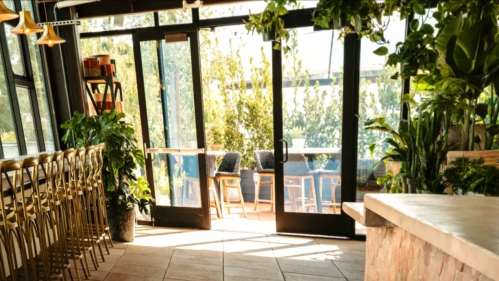 Bright interior with plants, bar stools, and large glass doors opening to a sunny outdoor space.