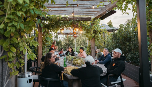 A group of people dining outdoors under a pergola adorned with greenery, enjoying a social gathering.
