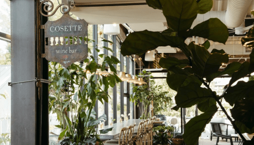 Interior of a wine bar named "Cosette," featuring lush greenery and a stylish, modern design.