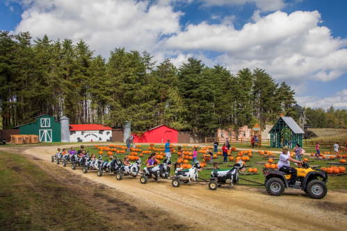 A line of children on pedal carts being pulled by an ATV through a pumpkin patch with barns and trees in the background.