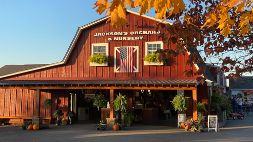 A red barn with "Jackson's Orchard & Nursery" sign, featuring an American flag and autumn leaves in the foreground.