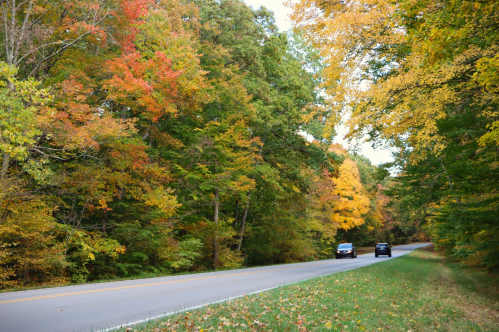 Two cars drive along a scenic road lined with vibrant autumn trees in shades of red, orange, and yellow.