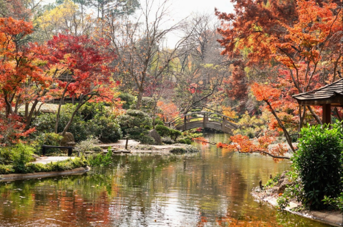 A serene garden scene with a pond, colorful autumn trees, and a small bridge in the background.