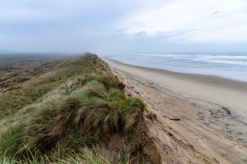 A misty beach scene with grassy dunes, a wide sandy shore, and gentle waves under a cloudy sky.