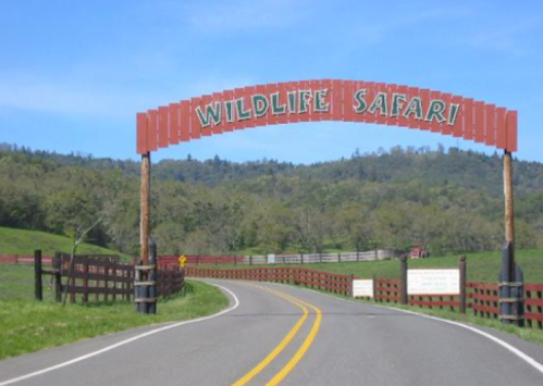 A scenic road leads to a large wooden sign that reads "Wildlife Safari" against a backdrop of green hills.