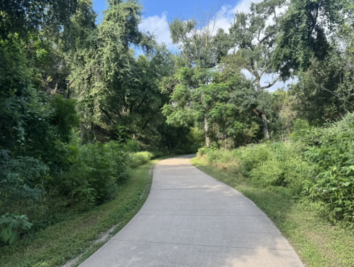 A winding concrete path surrounded by lush greenery and trees under a blue sky.